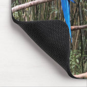 Parrot Bird Tropical Foto Mouse Pad Mousepad (Ecke)