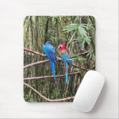 Parrot Bird Tropical Foto Mouse Pad Mousepad (Mit Mouse)