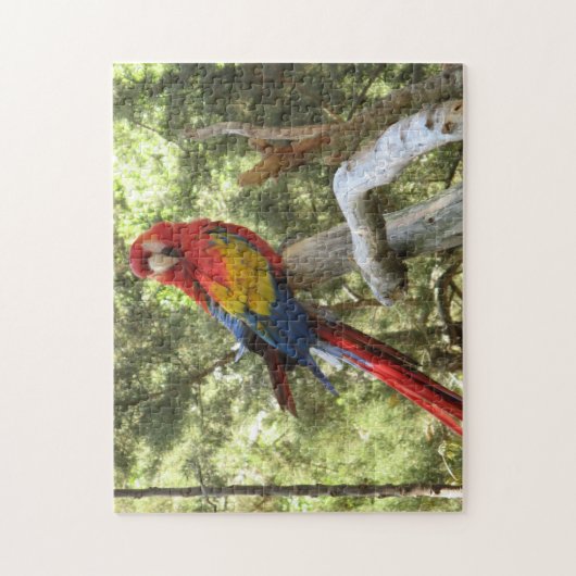 Parrot Bird tropisch farbenfroh Puzzle (Vertikal)