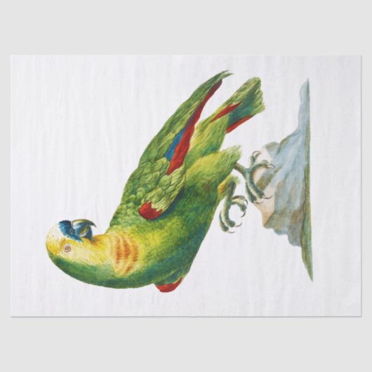 Parrot Bird Vintage Kunst Seidenpapier (Vorderseite)