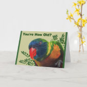 Parrot Birthday Card Karte (Gelbe Blume)