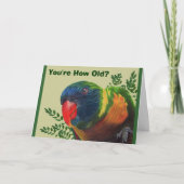 Parrot Birthday Card Karte (Vorderseite)