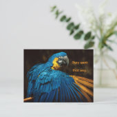 PARROT - CHANGE OF ADDRESS POSTCARD FEIERTAGSPOSTKARTE (Stehend Vorderseite)