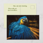 PARROT - CHANGE OF ADDRESS POSTCARD FEIERTAGSPOSTKARTE (Vorne/Hinten)