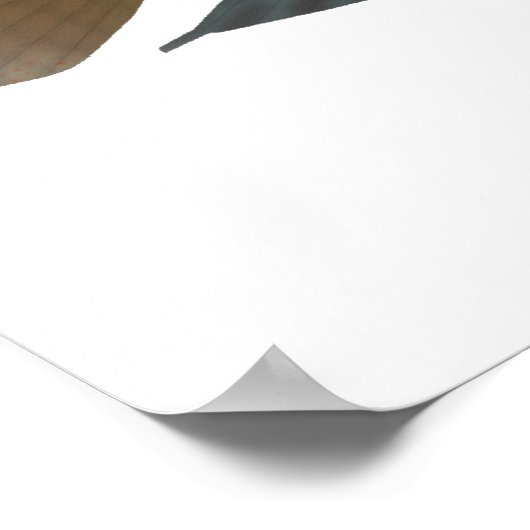 Parrot Cichlid Poster (Ecke)