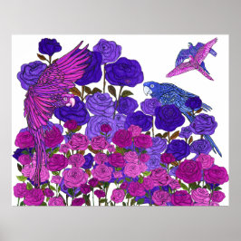 Parrot Clarity Poster