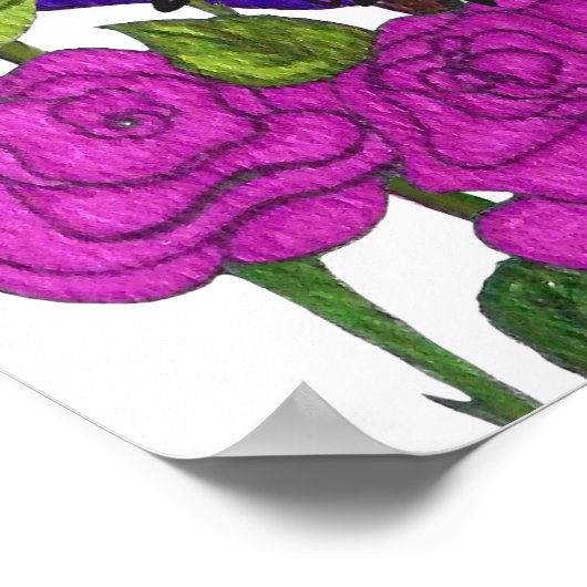 Parrot Clarity Poster (Ecke)