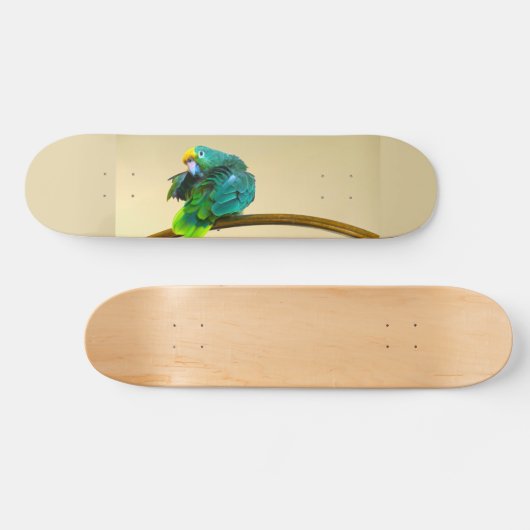 Parrot Deck Skateboard (Horizontal)
