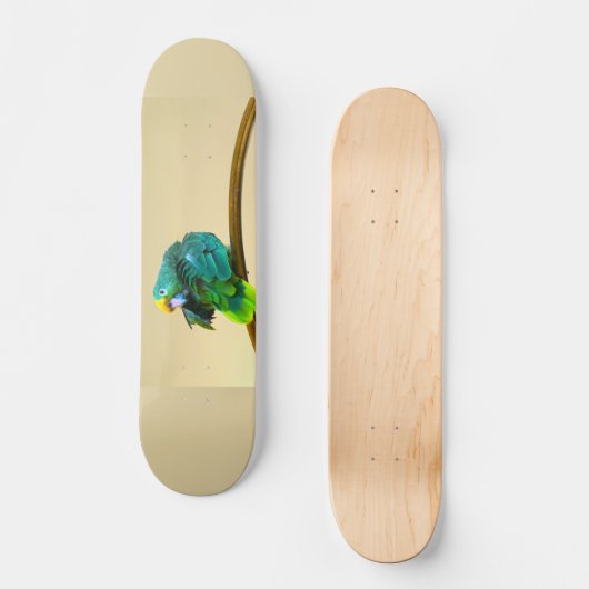 Parrot Deck Skateboard (Vorderseite)