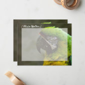 Parrot Foto Personalisiert Flat Mitteilungskarten (Vorderseite/Rückseite Beispiel)