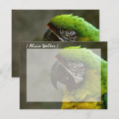Parrot Foto Personalisiert Flat Mitteilungskarten (Vorne/Hinten)