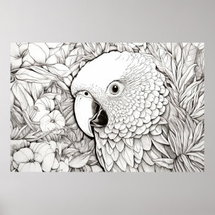 Parrot Friedlich Nature Prairie Sketch Zeichnend K Poster