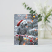 Parrot Holiday Card — Winter Wonder  Postkarte (Stehend Vorderseite)