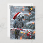 Parrot Holiday Card — Winter Wonder  Postkarte (Vorne/Hinten)