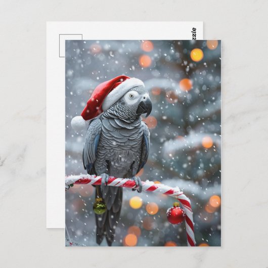 Parrot Holiday Card — Winter Wonder Postkarte (Vorne/Hinten)