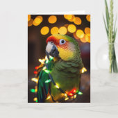 Parrot Holiday Cards Karte (Vorderseite)