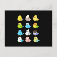 Parrot Kids Bird Pet