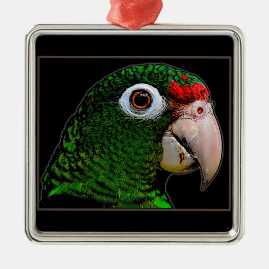 Parrot / La Cotorra Ornament Aus Metall (Vorne)