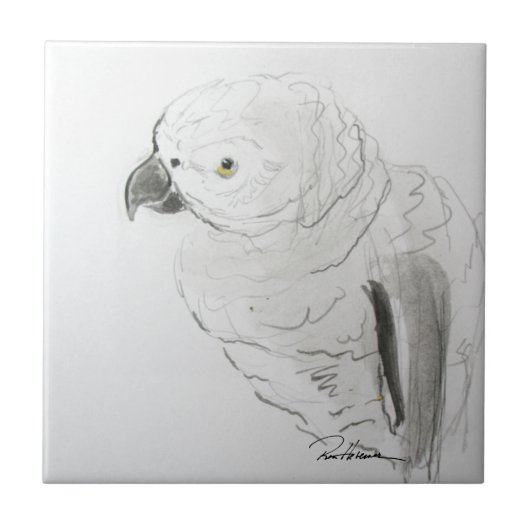 Parrot Listening. . . Fliese (Vorderseite)