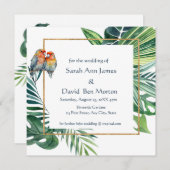Parrot Lovebird Tropical Nature Save the Date (Vorne/Hinten)