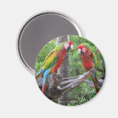 Parrot Magnet (Vorderseite/Rückseite)