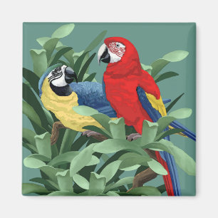 Parrot-Magnete Magnet