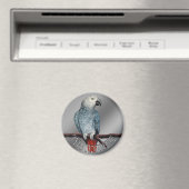 Parrot Magnete personalisieren Afrikanisches Gray  Magnet (In Situ (Geschirrspüler))