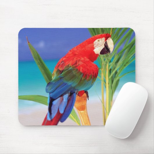 Parrot Mouse Pad Mousepad (Mit Mouse)