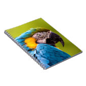 Parrot-Notebook Notizblock (Rechte Seite)