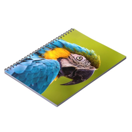 Parrot-Notebook Notizblock (Linke Seite)