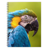 Parrot-Notebook Notizblock (Vorderseite)