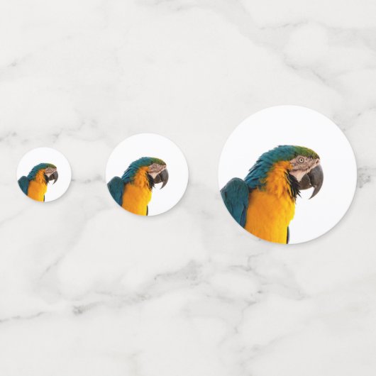 Parrot Notes Konfetti (Rückseiten)