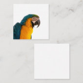 Parrot Notes Mitteilungskarte (Vorne/Hinten)