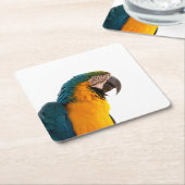 Parrot Notes Rechteckiger Pappuntersetzer (angewinkelt)