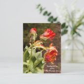 Parrot Orange Tulips Denken Sie an Sie Postkarte (Stehend Vorderseite)