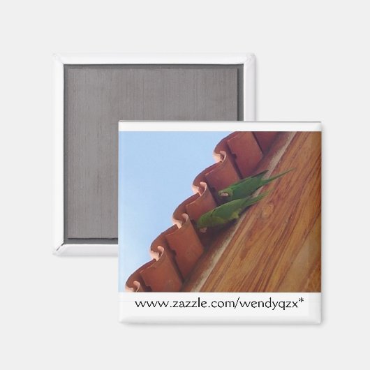 Parrot Pair Magnet (Vorderseite/Rückseite)