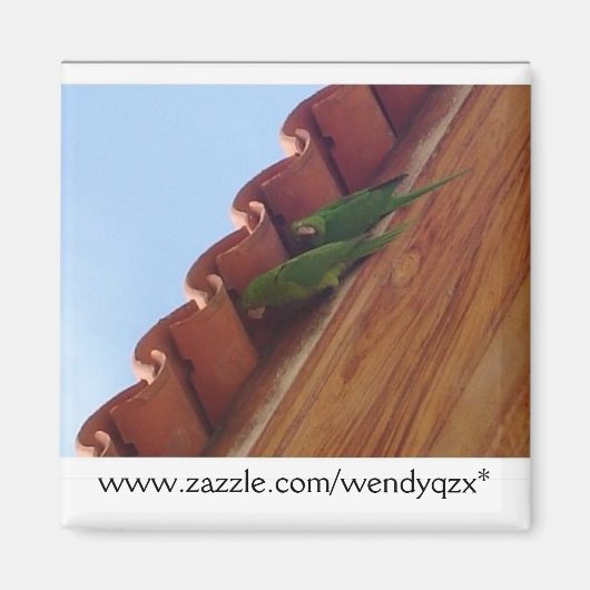 Parrot Pair Magnet (Vorne)