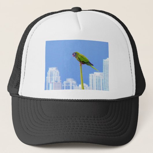 ~Parrot~ POP ART HAT, BLUE Truckerkappe (Vorderseite)
