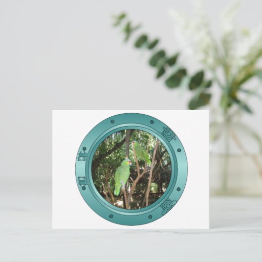Parrot Porthole Postkarte (Stehend Vorderseite)