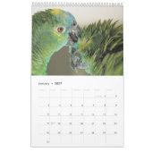 Parrot Portraits Kalender (Jan 2027)