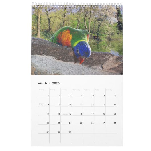 Parrot Portraits Kalender (Mär 2026)