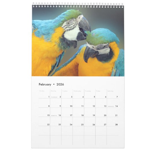 Parrot Portraits Kalender (Feb 2026)
