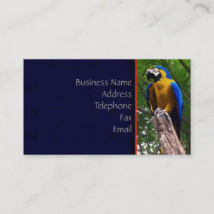 Parrot Pose ~ Visitenkarte