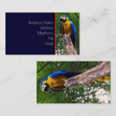 Parrot Pose ~ Visitenkarte (Vorne/Hinten)