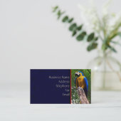 Parrot Pose ~ Visitenkarte (Stehend Vorderseite)