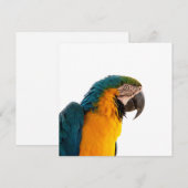 Parrot Post-it Notes Feiertagskarte (Vorne/Hinten)