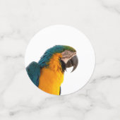 Parrot Post-it Notes Konfetti (Klein Vorderseite)