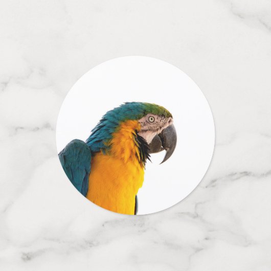 Parrot Post-it Notes Konfetti (Klein Vorderseite)