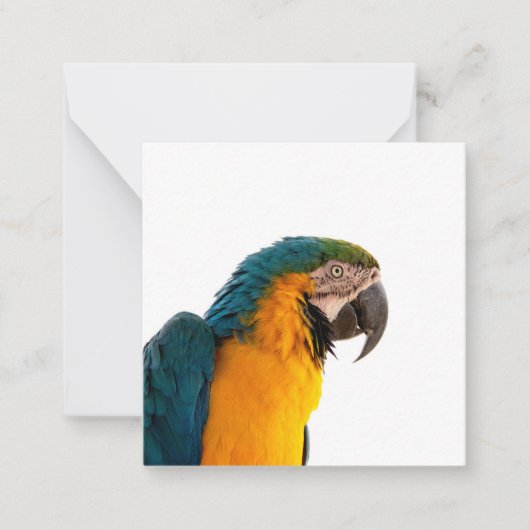 Parrot Post-it Notes Mitteilungskarte (Vorderseite)
