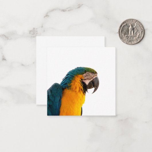 Parrot Post-it Notes Mitteilungskarte (Vorderseite/Rückseite Beispiel)